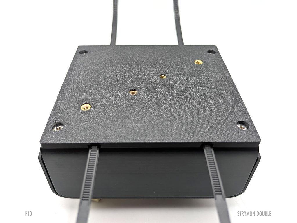 Strymon Double Pedal Plate