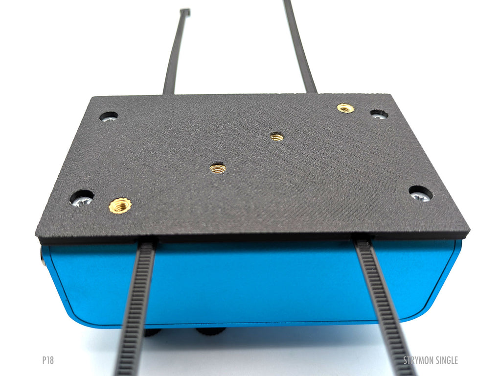 Strymon Single Pedal Plate