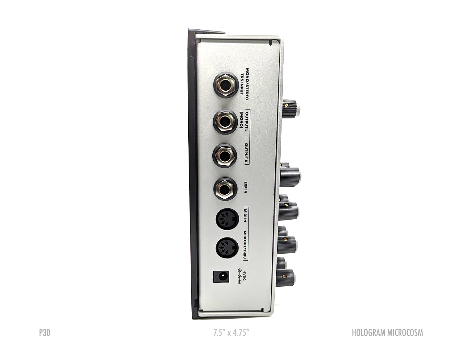 Hologram Microcosm Pedal Plate