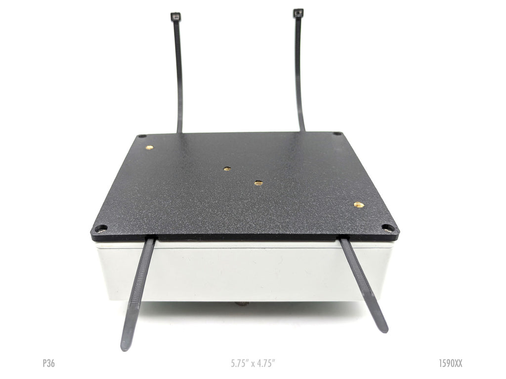 1590XX Pedal Plate