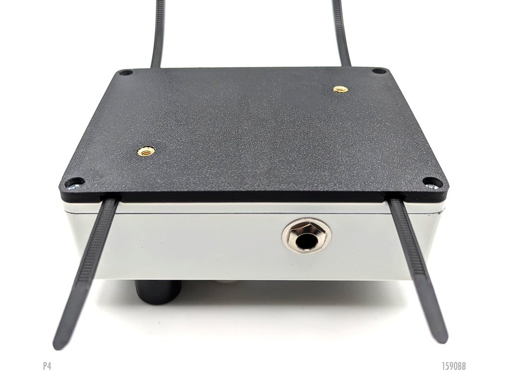 1590BB Double Pedal Plate