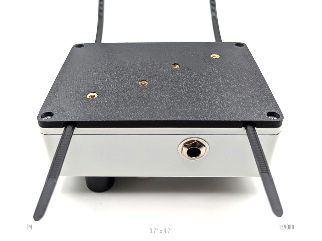 1590BB Double Pedal Plate