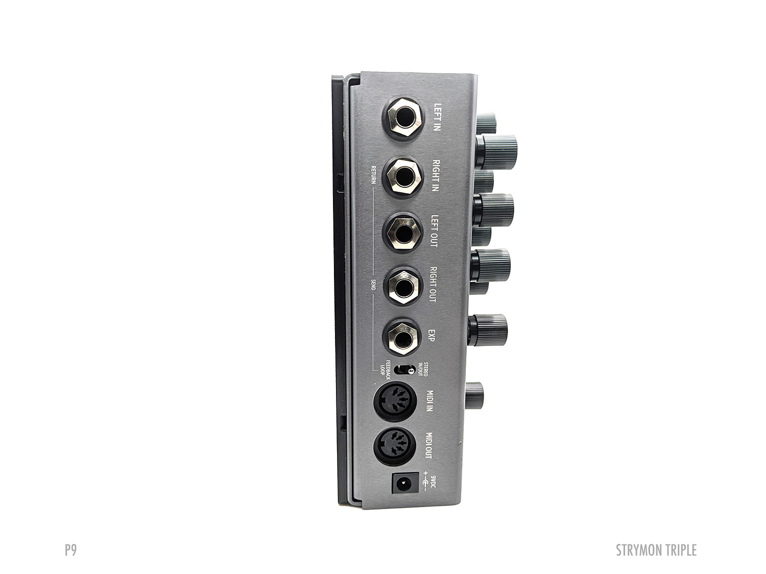 Strymon Triple Pedal Plate