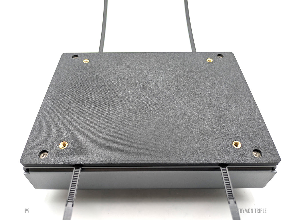 Strymon Triple Pedal Plate